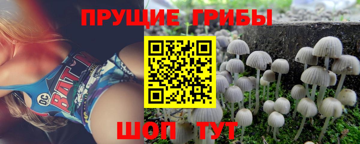 Галлюциногенные грибы мицелий Кыштым