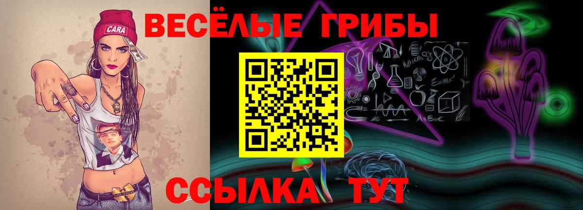 Кыштым  Псилоцибиновые грибы Cubensis  Вход с VPN  Галлюциногенные грибы ЛСД 